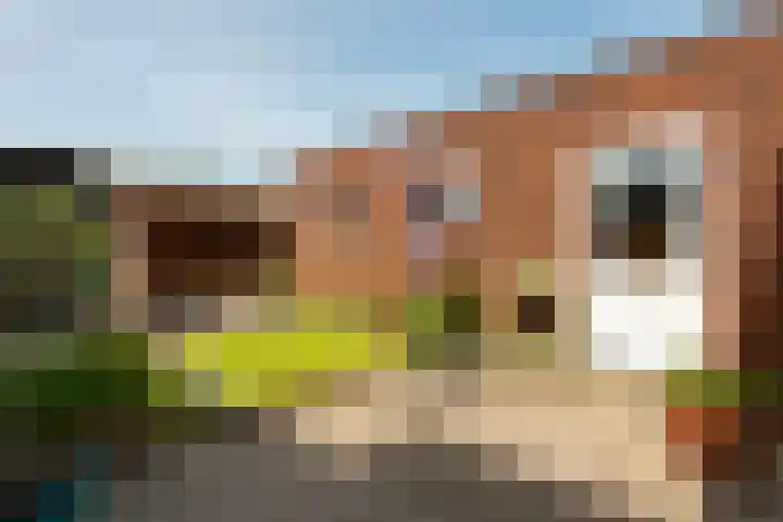 Smirnofflaan 6 Hoogerheide thumbnail 37