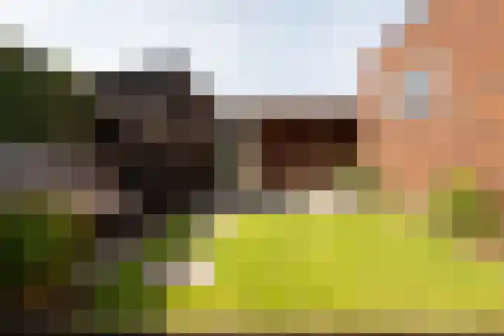 Smirnofflaan 6 Hoogerheide thumbnail 38