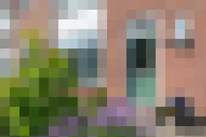 Smirnofflaan 6 Hoogerheide thumbnail 39