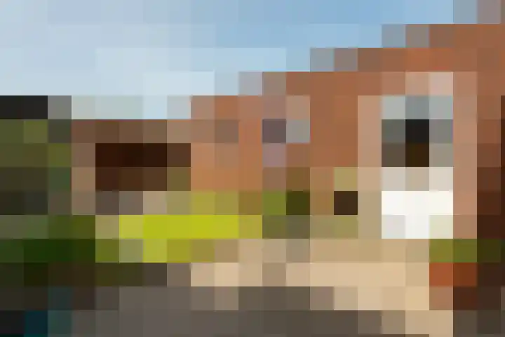Smirnofflaan 6 Hoogerheide thumbnail 4