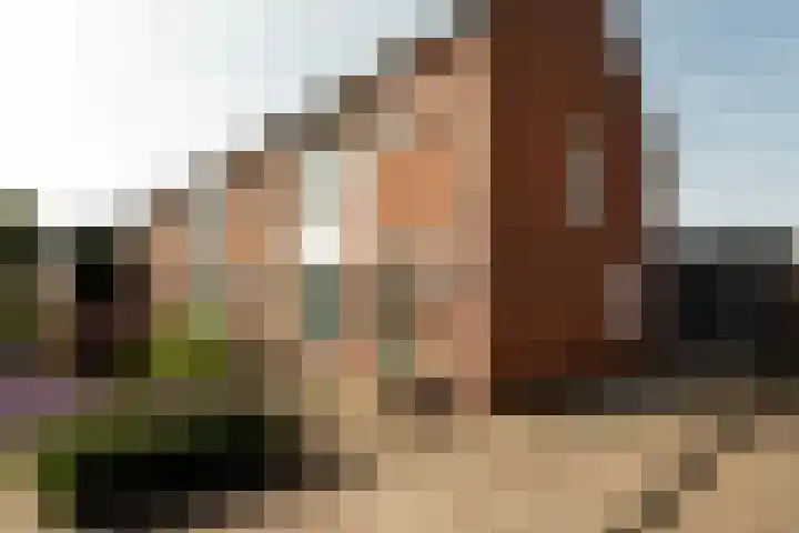 Smirnofflaan 6 Hoogerheide thumbnail 40