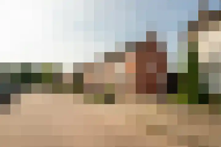 Smirnofflaan 6 Hoogerheide thumbnail 44