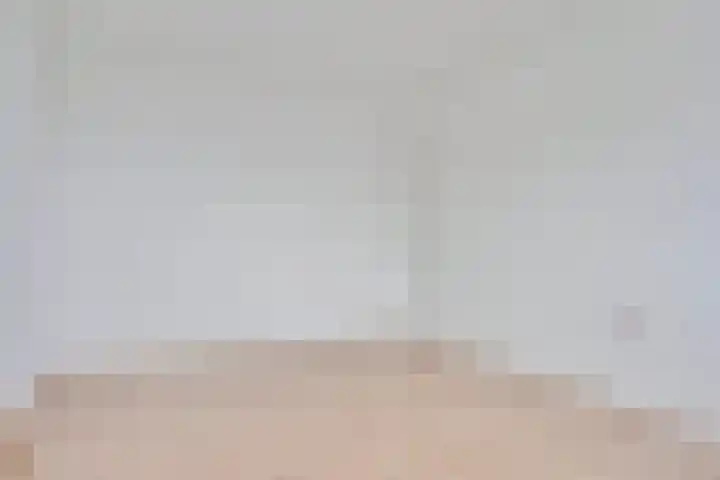 Smirnoffstraat 1 's-Hertogenbosch thumbnail 20