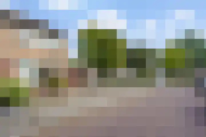 Smirnoffstraat 1 's-Hertogenbosch thumbnail 33