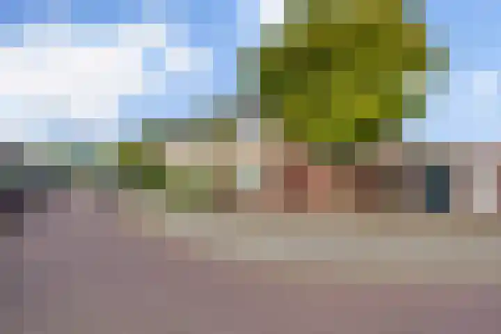Smirnoffstraat 1 's-Hertogenbosch thumbnail 34