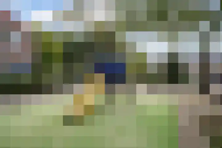 Smirnoffstraat 1 's-Hertogenbosch thumbnail 37