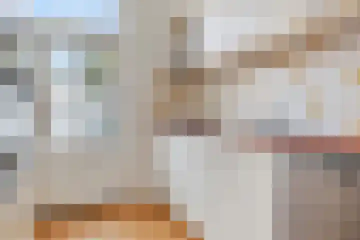 Smirnoffstraat 1 's-Hertogenbosch thumbnail 9
