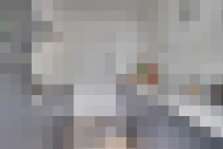 Smirnoffstraat 16 Helmond thumbnail 18
