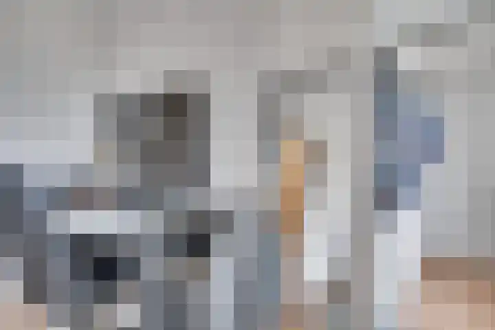 Smirnoffstraat 16 Helmond thumbnail 24