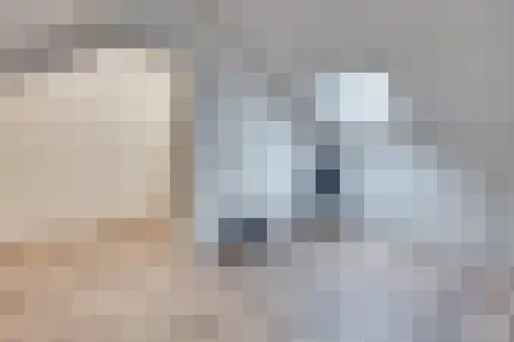 Smirnoffstraat 16 Helmond thumbnail 32
