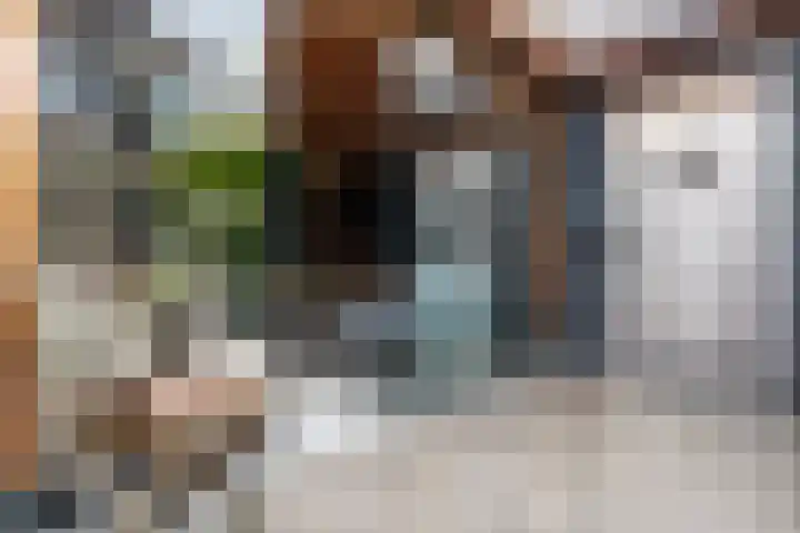 Smirnoffstraat 16 Helmond thumbnail 34