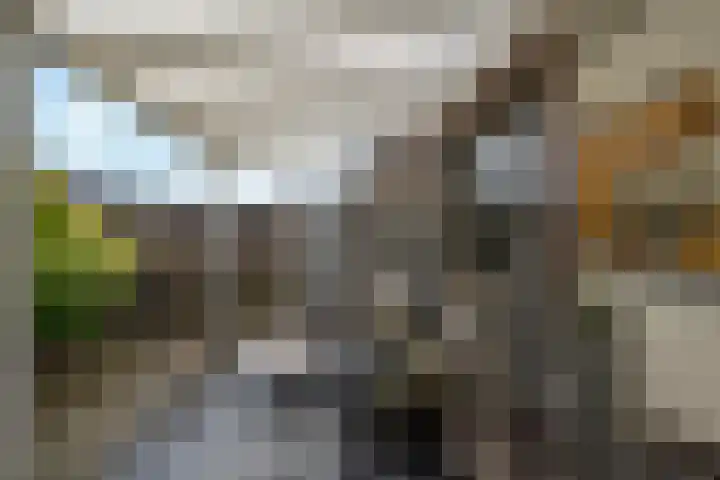 Smirnoffstraat 16 Helmond thumbnail 38
