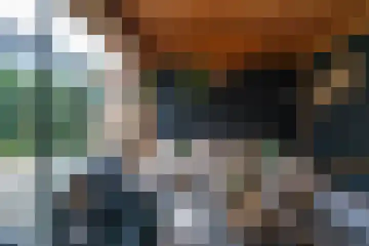 Smirnoffstraat 16 Helmond thumbnail 39