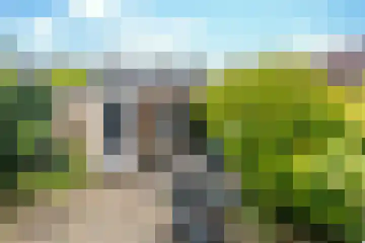 Smirnoffstraat 16 Helmond thumbnail 41