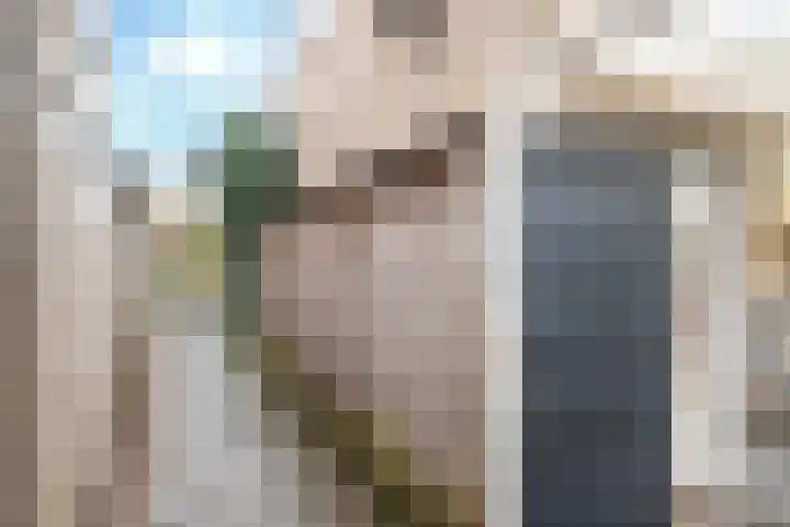 Smirnoffstraat 16 Helmond thumbnail 42