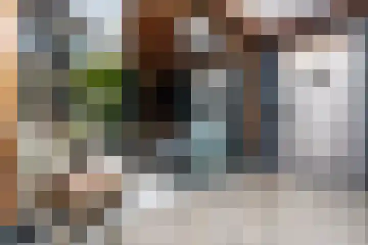 Smirnoffstraat 16 Helmond thumbnail 6