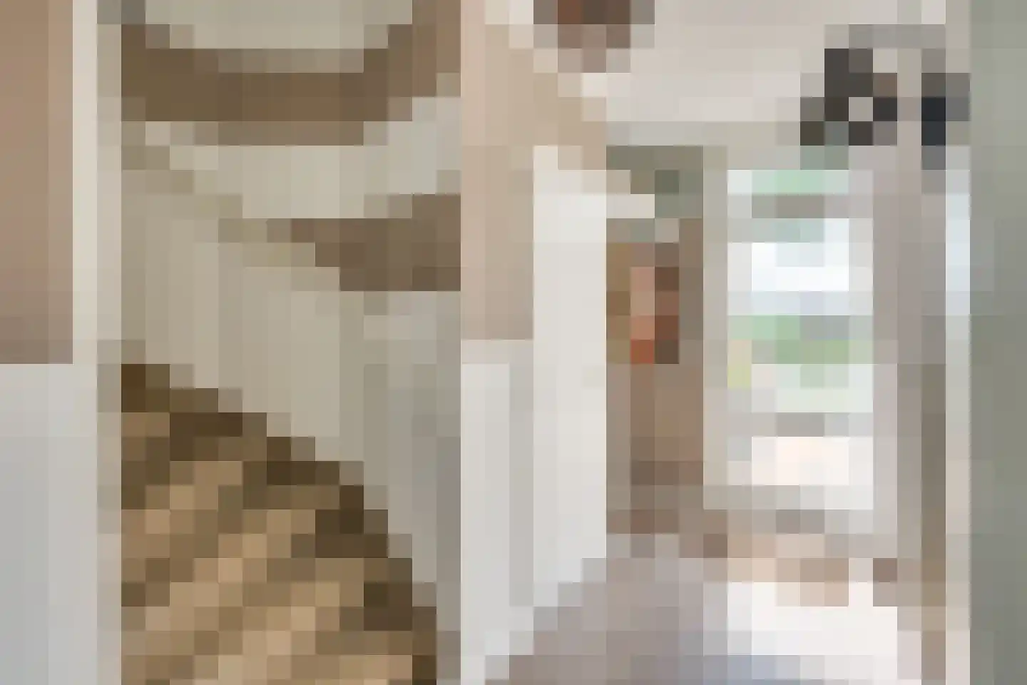 Smirnoffstraat 18 Helmond thumbnail 11