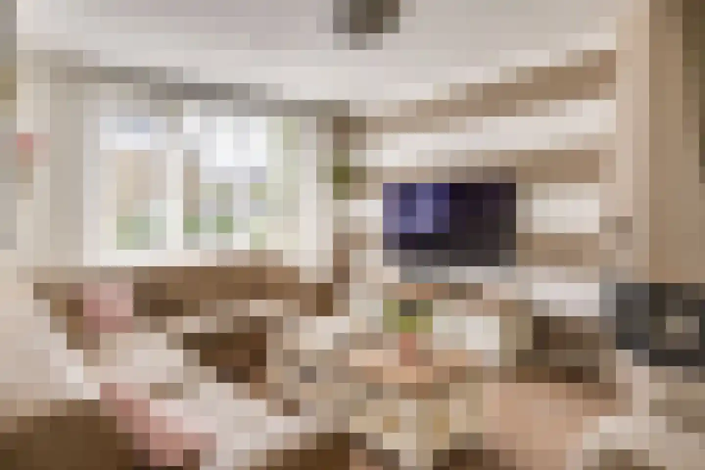 Smirnoffstraat 18 Helmond thumbnail 13