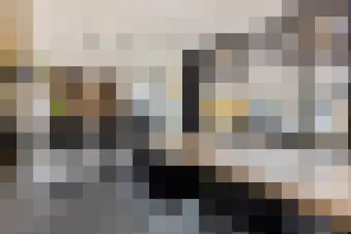 Smirnoffstraat 3 's-Hertogenbosch thumbnail 10