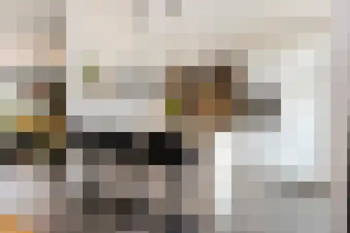 Smirnoffstraat 3 's-Hertogenbosch thumbnail 11