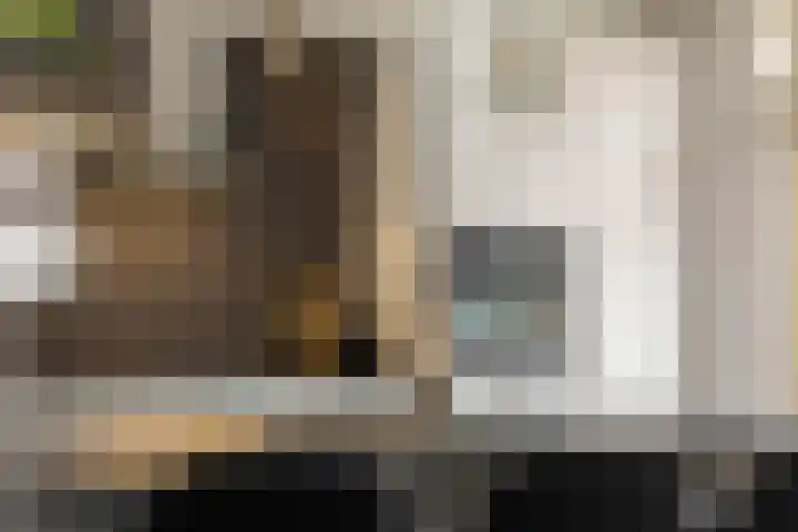 Smirnoffstraat 3 's-Hertogenbosch thumbnail 12