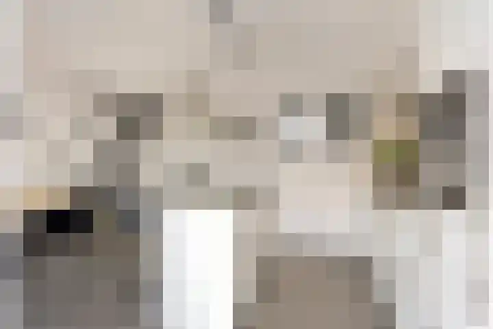 Smirnoffstraat 3 's-Hertogenbosch thumbnail 13