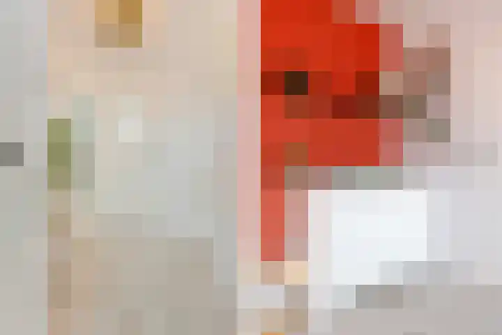 Smirnoffstraat 3 's-Hertogenbosch thumbnail 18