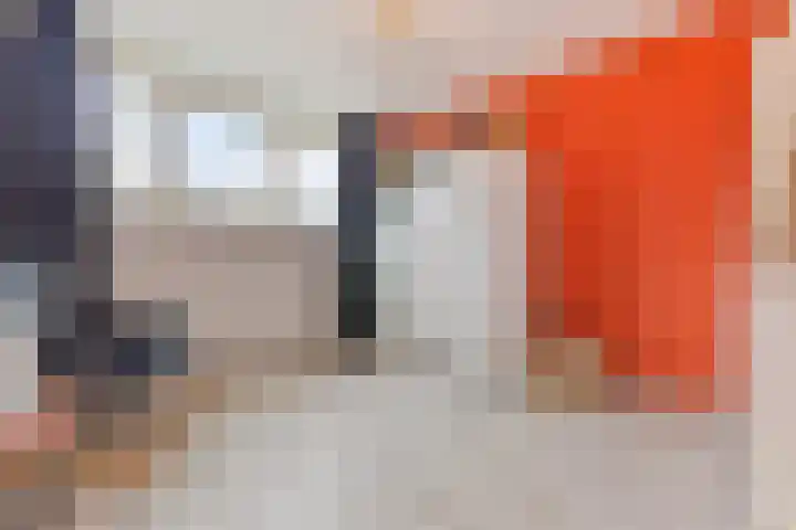 Smirnoffstraat 3 's-Hertogenbosch thumbnail 19