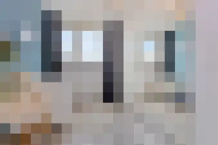 Smirnoffstraat 3 's-Hertogenbosch thumbnail 20