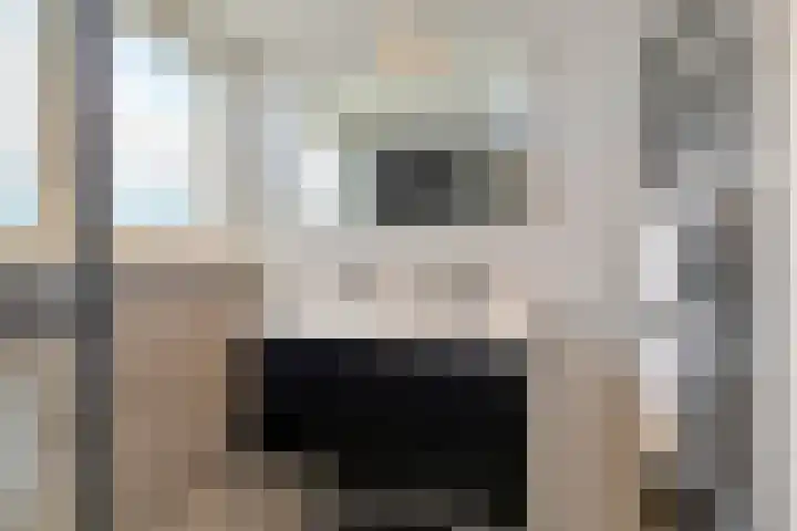 Smirnoffstraat 3 's-Hertogenbosch thumbnail 24