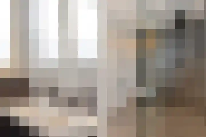 Smirnoffstraat 3 's-Hertogenbosch thumbnail 25