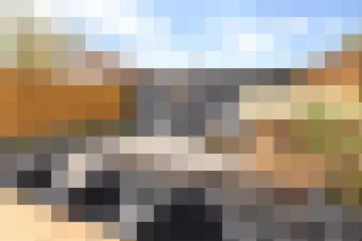 Smirnoffstraat 3 's-Hertogenbosch thumbnail 30