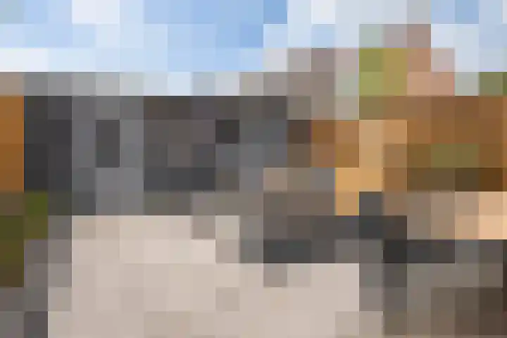 Smirnoffstraat 3 's-Hertogenbosch thumbnail 31