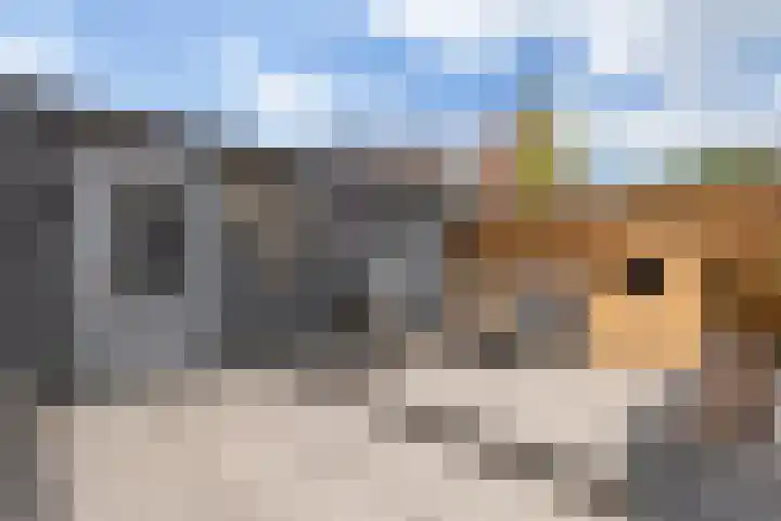 Smirnoffstraat 3 's-Hertogenbosch thumbnail 34