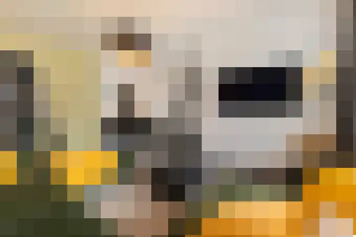 Smirnoffstraat 3 's-Hertogenbosch thumbnail 7