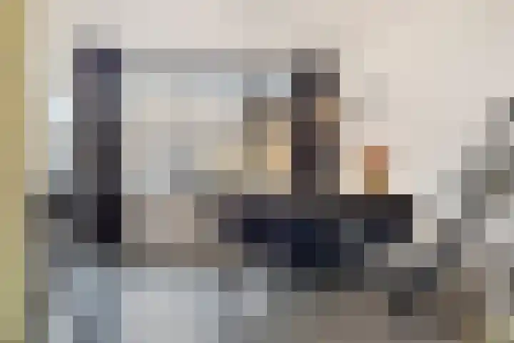 Smirnoffstraat 3 's-Hertogenbosch thumbnail 9
