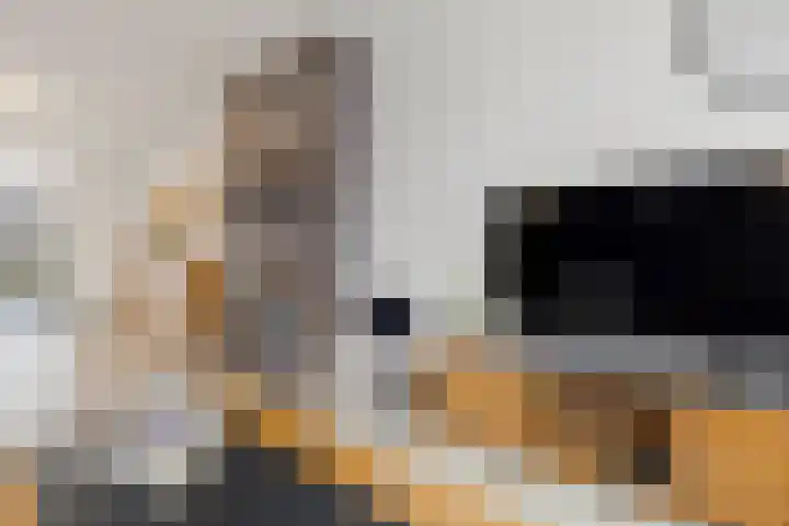 Smirnoffstraat 32 Helmond thumbnail 10