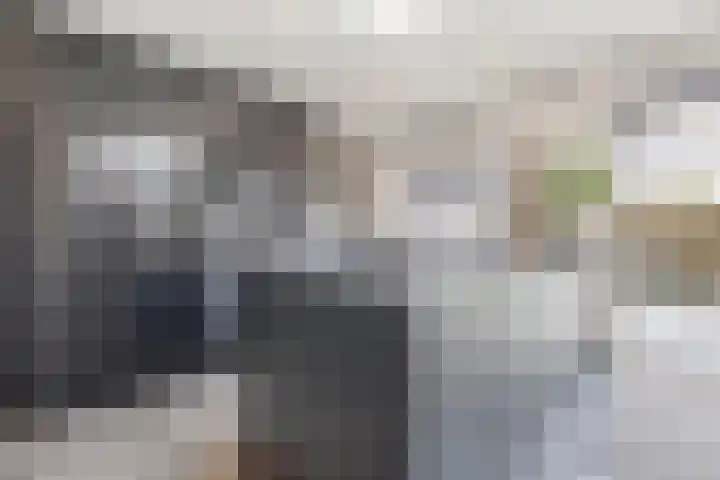 Smirnoffstraat 32 Helmond thumbnail 17