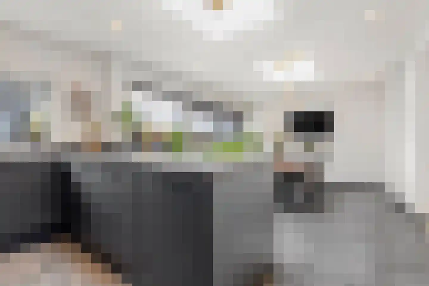Smirnoffstraat 32 Helmond thumbnail 20