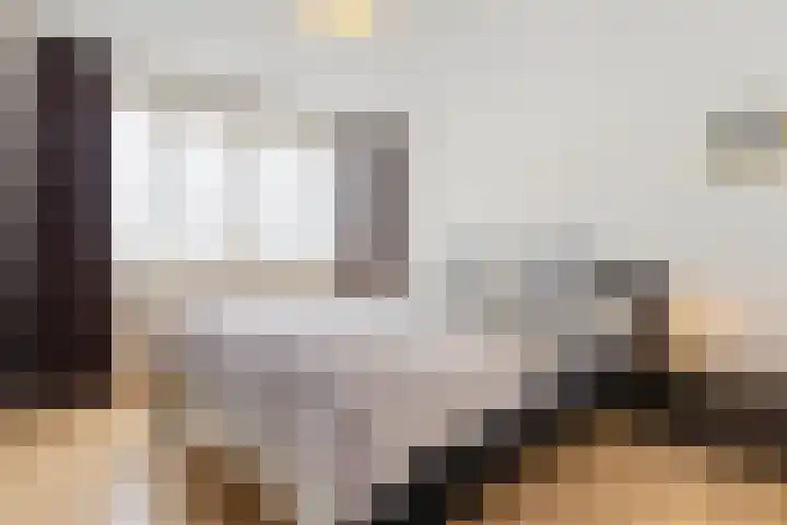 Smirnoffstraat 32 Helmond thumbnail 24