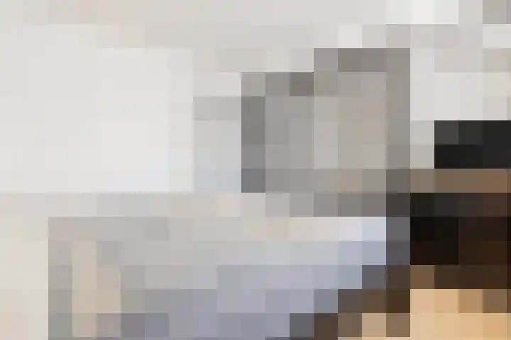 Smirnoffstraat 32 Helmond thumbnail 26