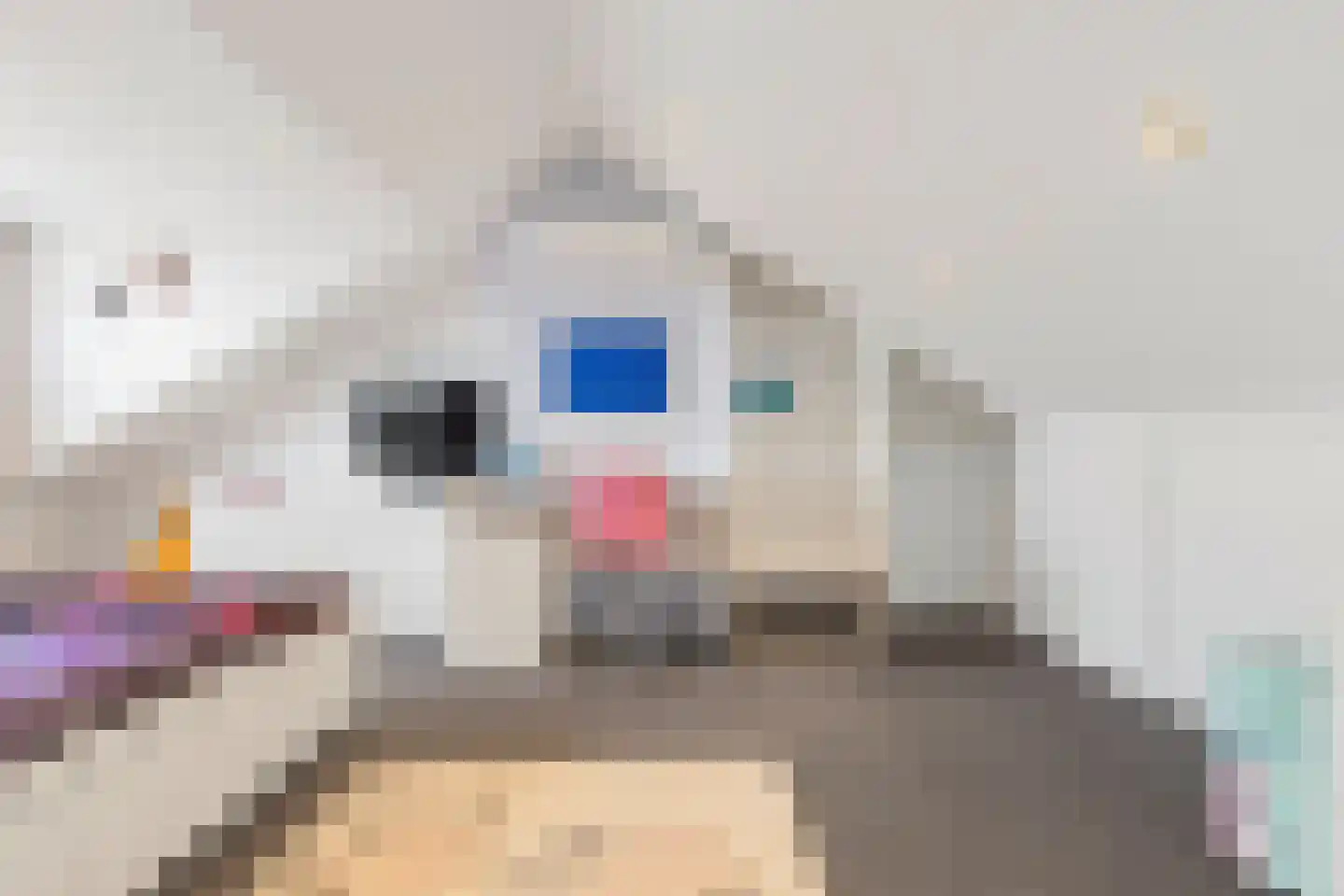 Smirnoffstraat 32 Helmond thumbnail 38