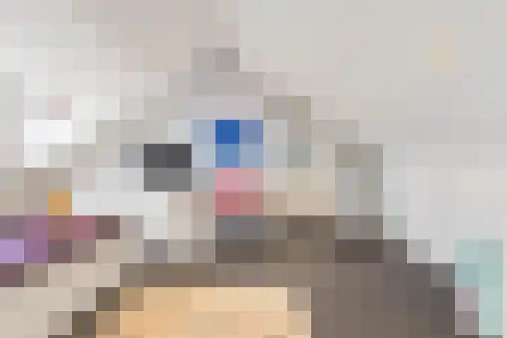 Smirnoffstraat 32 Helmond thumbnail 38