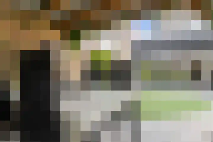 Smirnoffstraat 32 Helmond thumbnail 42