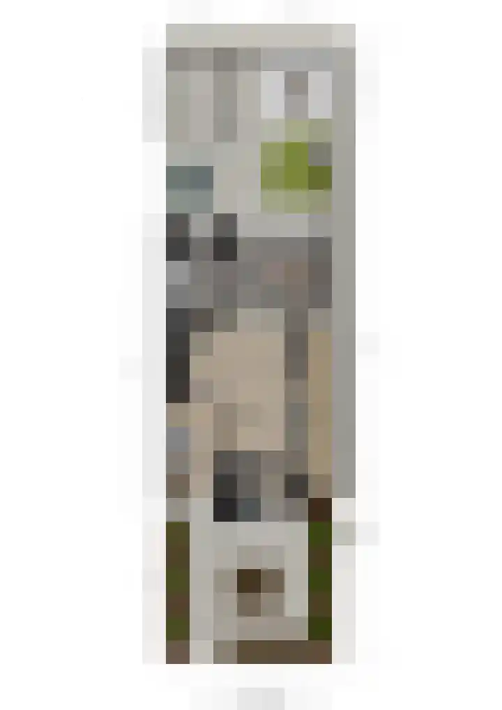 Smirnoffstraat 32 Helmond thumbnail 55