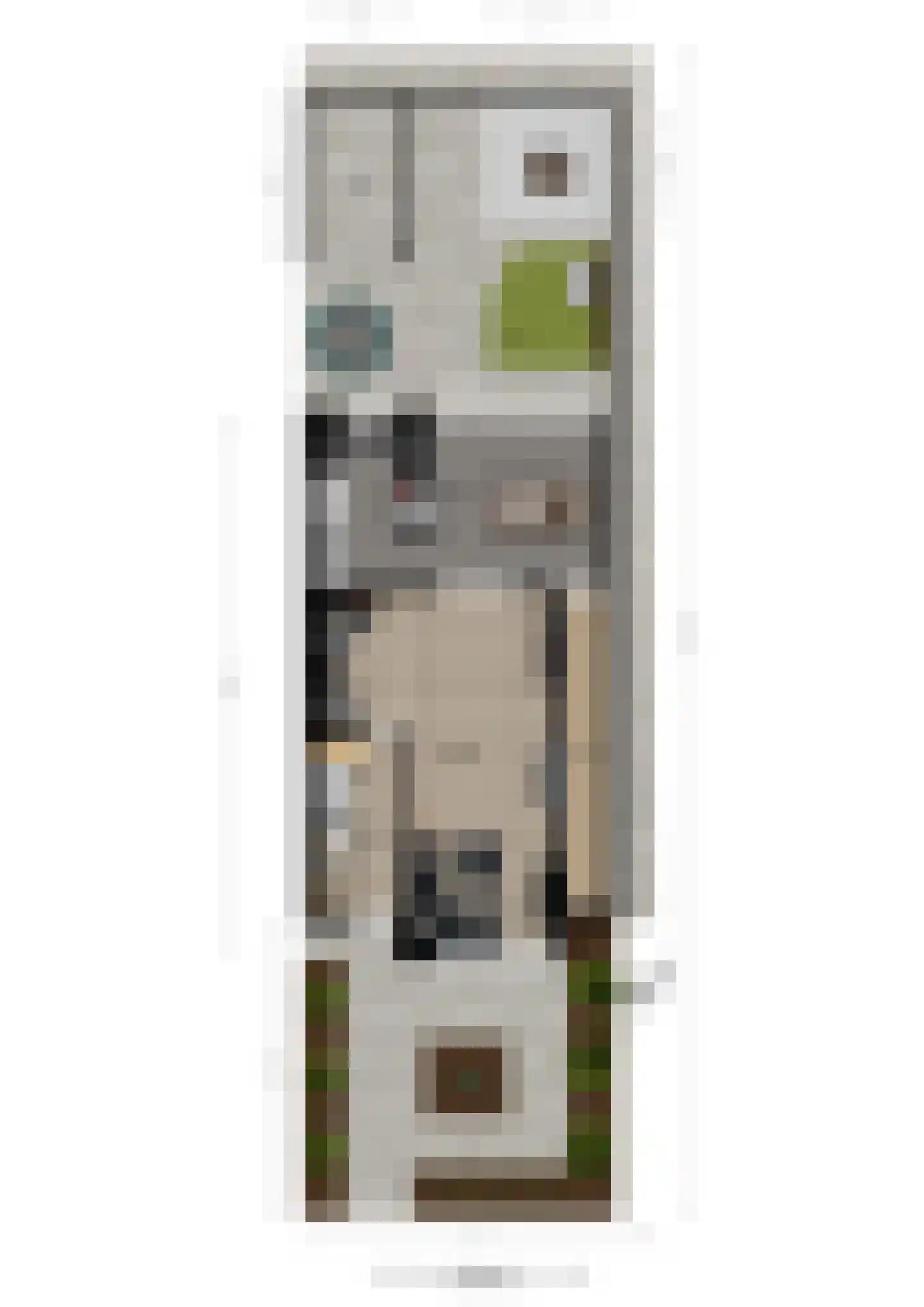 Smirnoffstraat 32 Helmond thumbnail 55