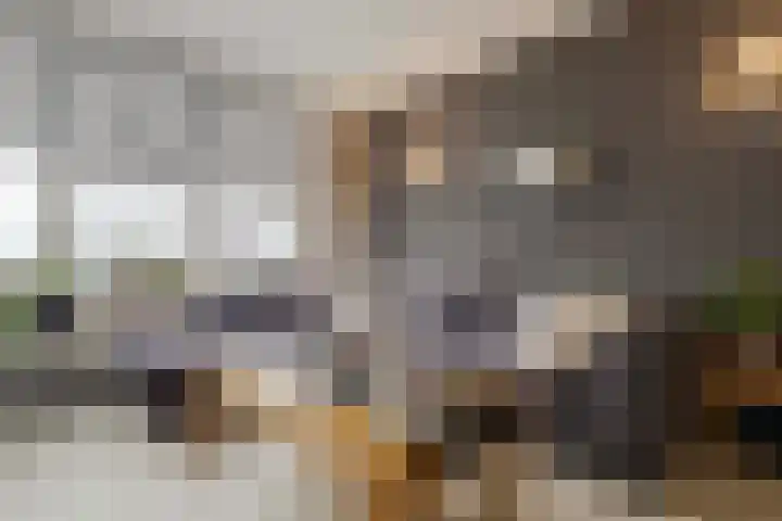 Smirnoffstraat 32 Helmond thumbnail 9