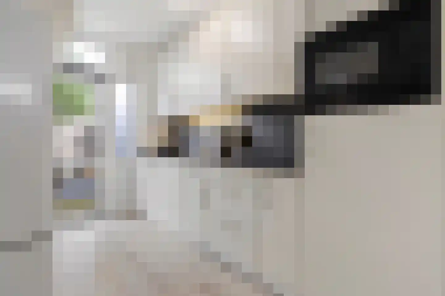 Smirnoffstraat 38 Helmond thumbnail 11