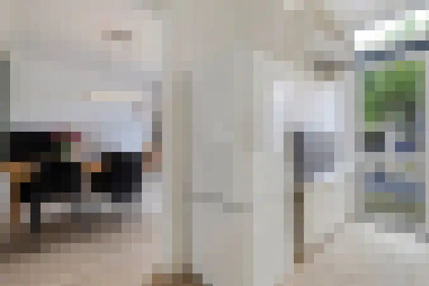 Smirnoffstraat 38 Helmond thumbnail 47