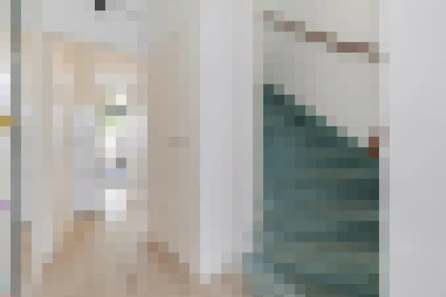 Smirnoffstraat 38 Helmond thumbnail 50